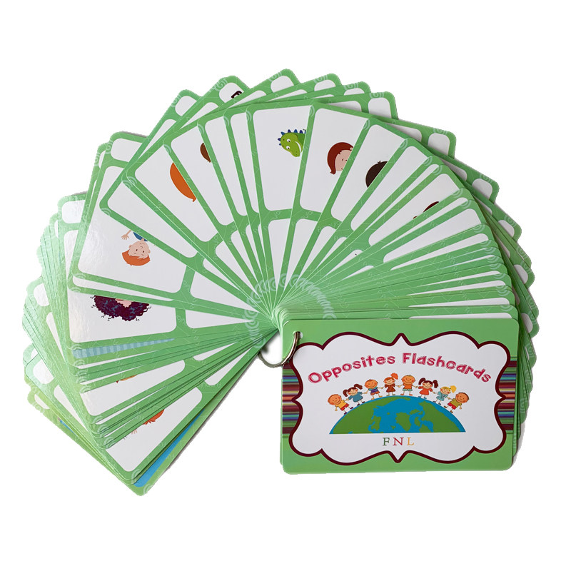 100 Gruppi di Carte Flash con  - Kids Education Material recensione e prezzo