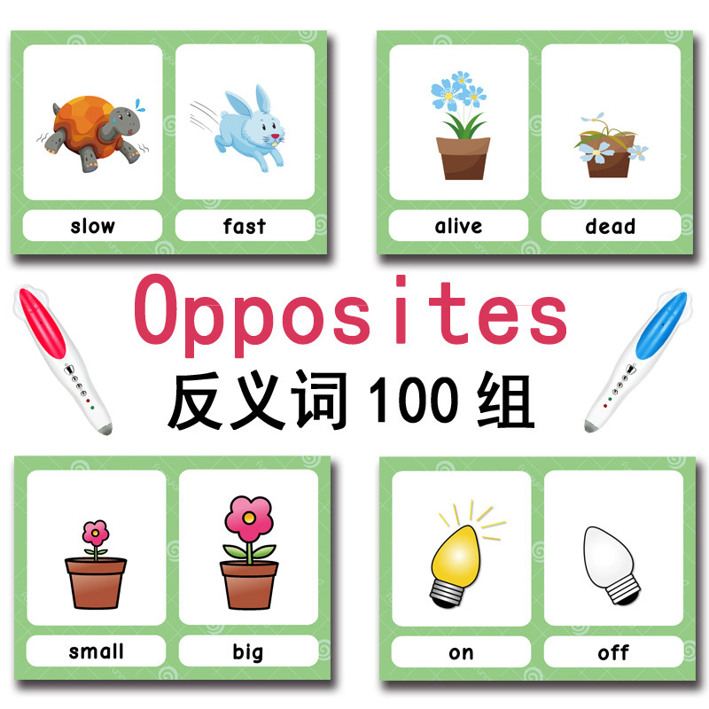100 Gruppi di Carte Flash con  - Kids Education Material recensione e prezzo